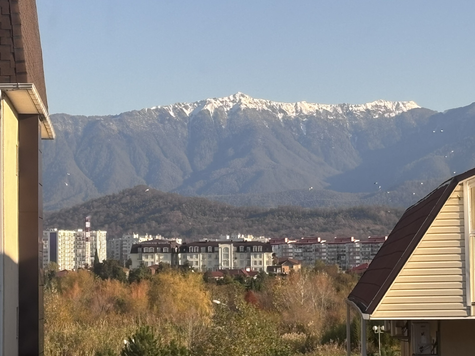 КВ 9