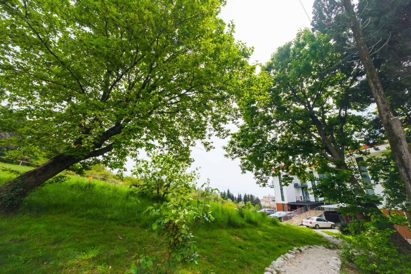 Предлагается в аренду уютная студия в жилом комплексе "Касабланка"!