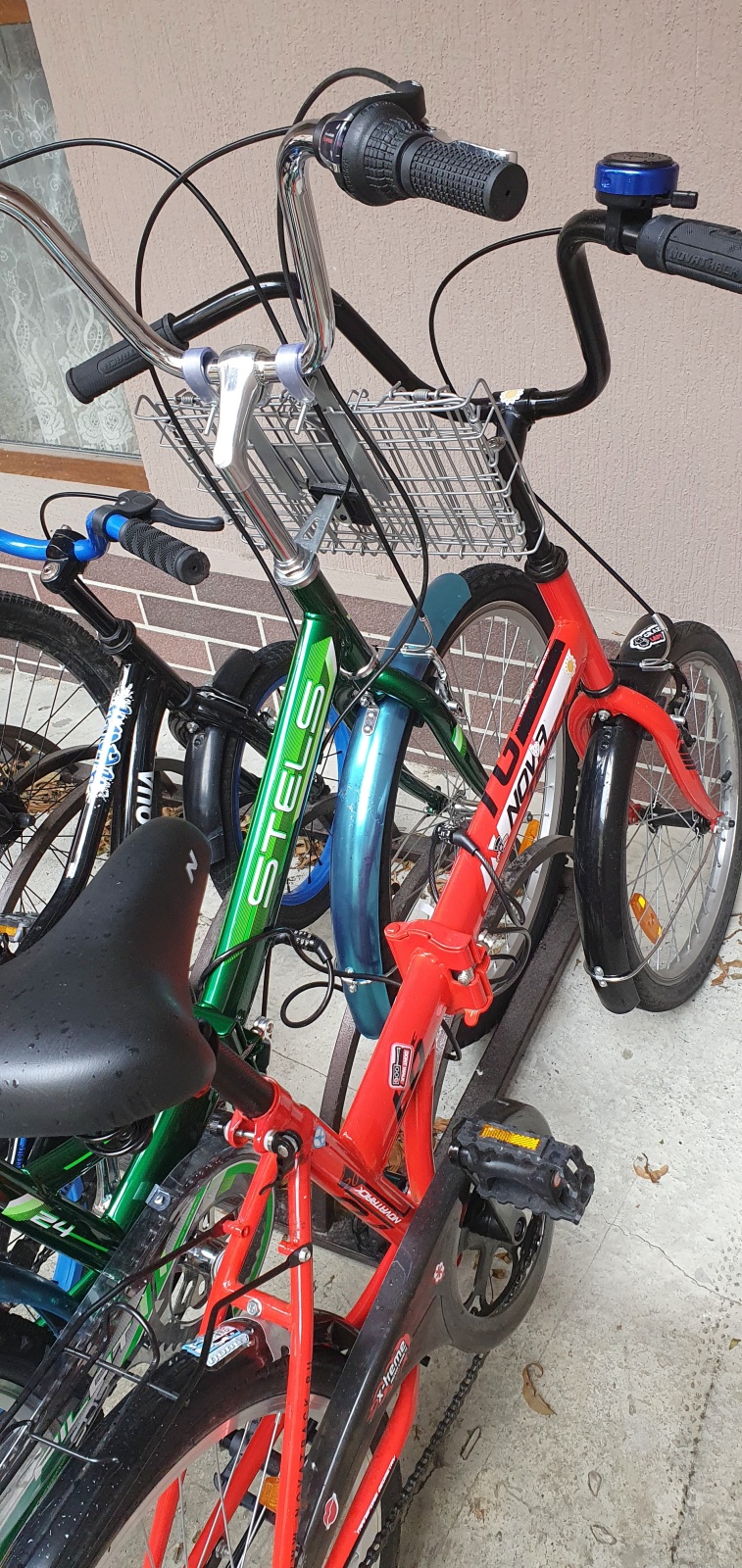 Свет Сириуса