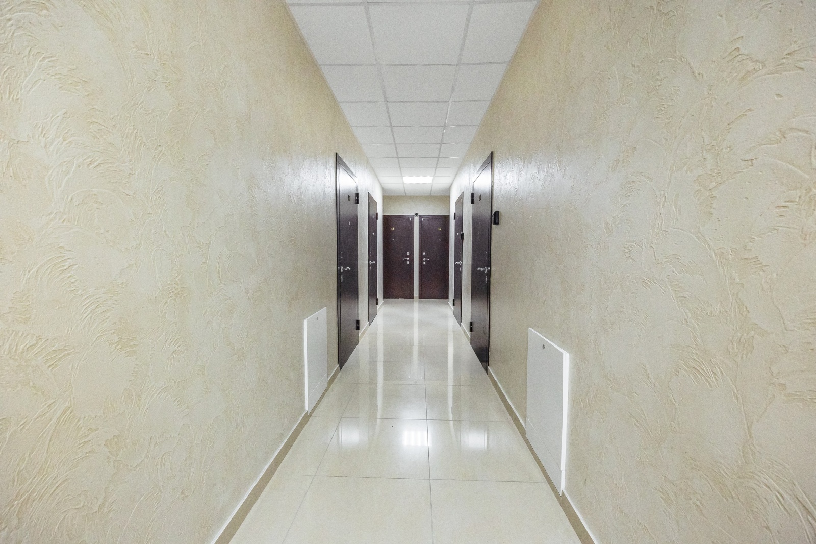 Свет Сириуса