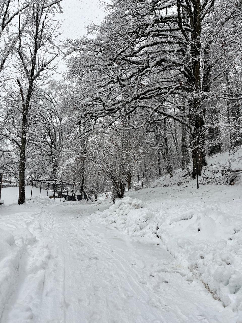 Дом в горах "Романовский хутор"