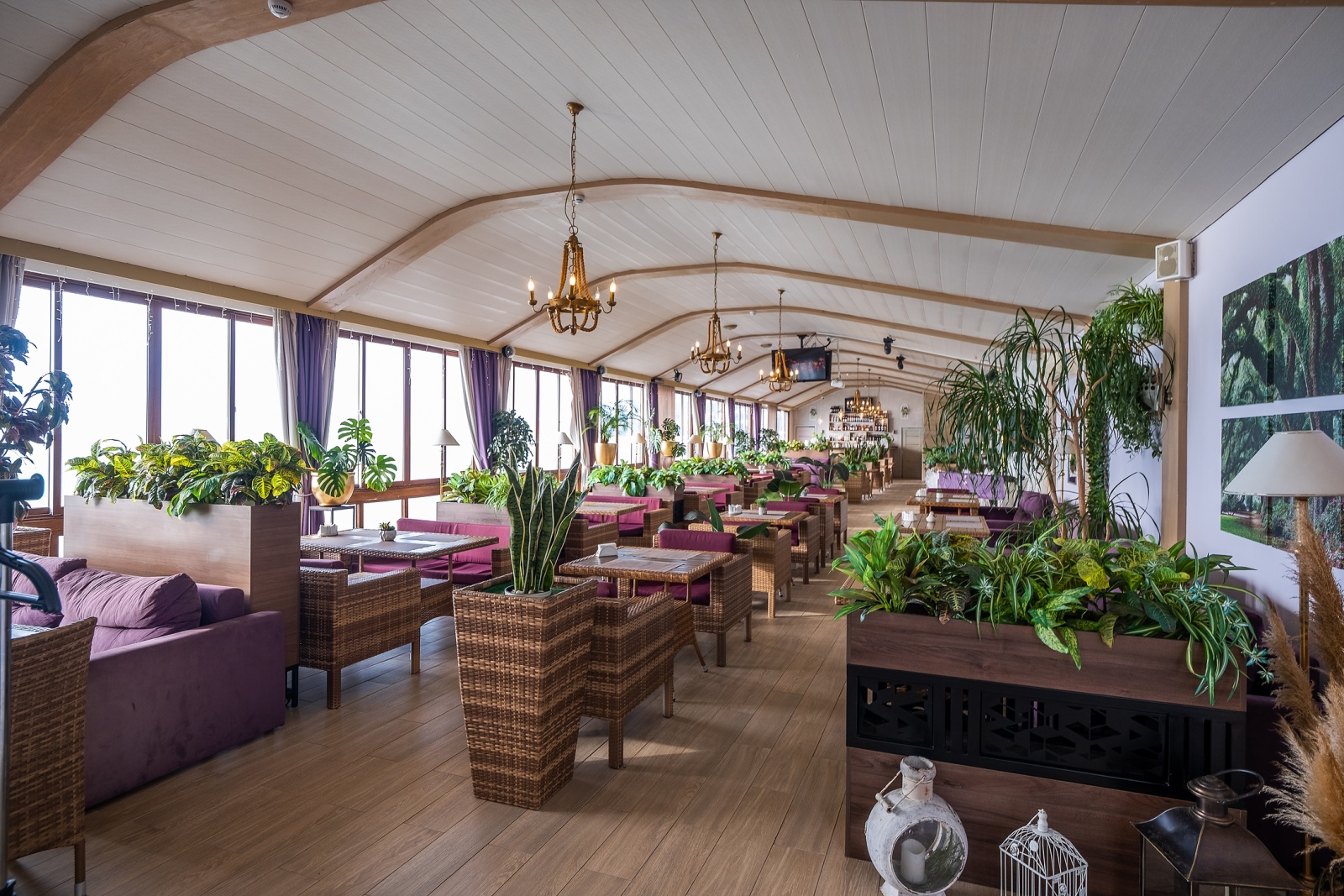 Уютная студия у моря в Адлере – ваш идеальный отдых