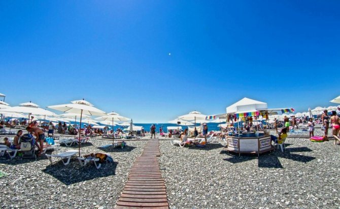 Свет Сириуса