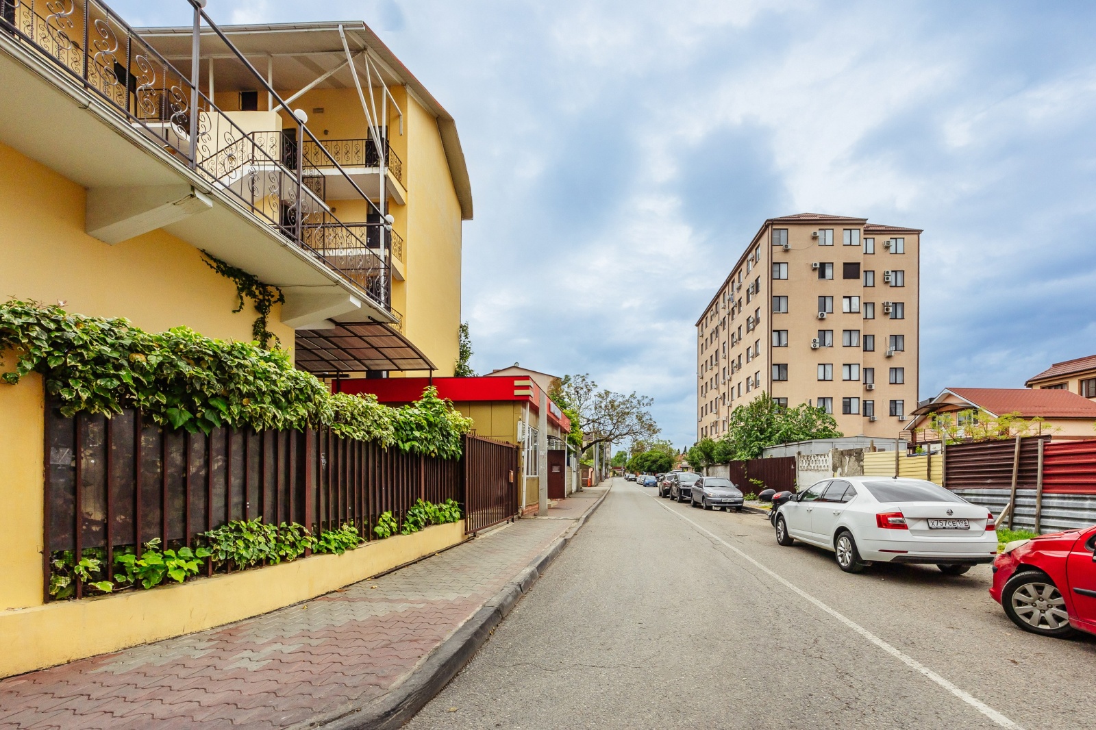 Свет Сириуса