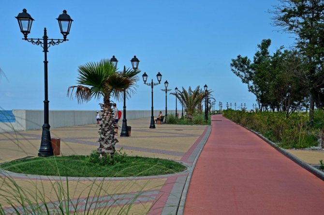 Свет Сириуса