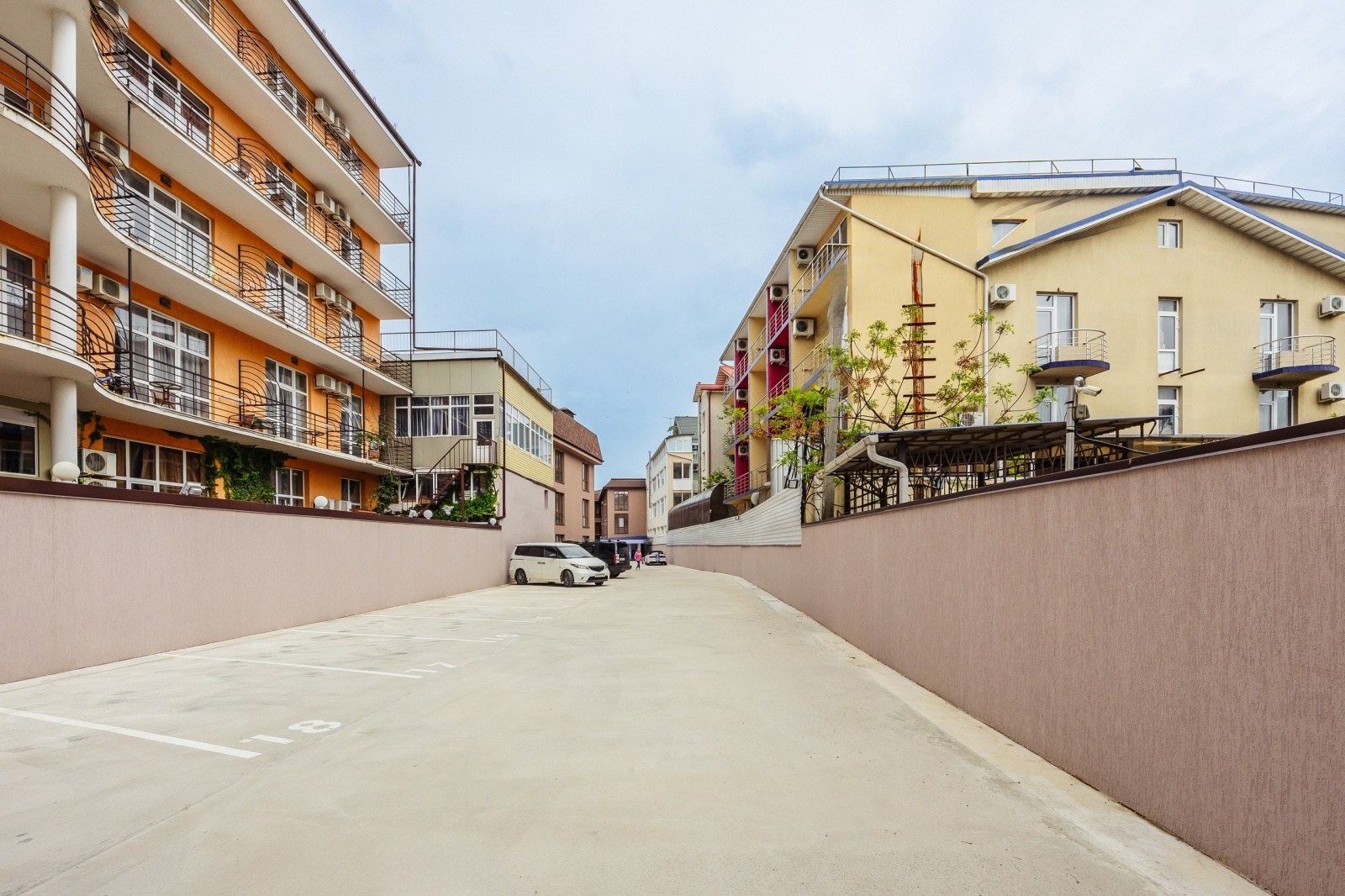 Свет Сириуса